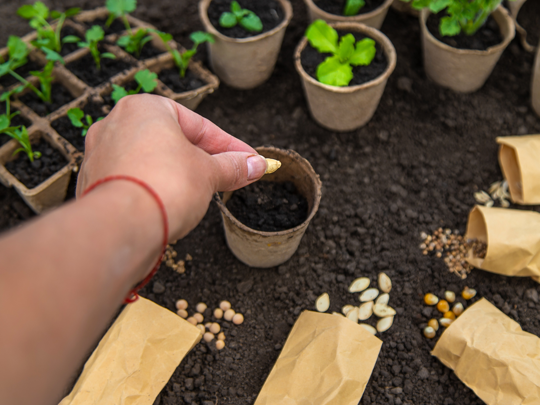 The ADHD Motivation Map: How to Find the Drive When You Have None