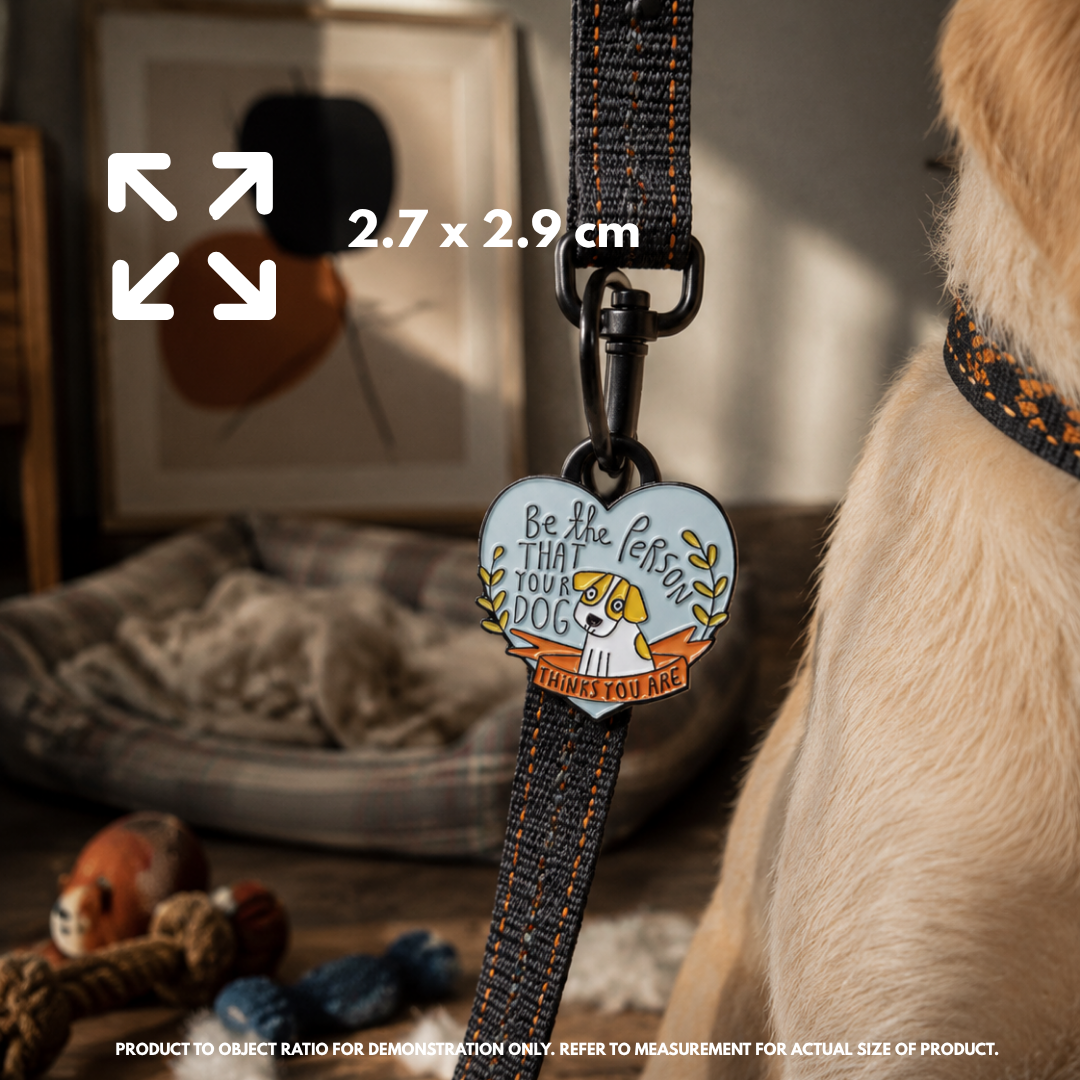 "Be the person that your dog thinks you are" - Pin