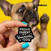"Proud Parent of a Dramatic Dog" enamel pin – lifestyle flat lay, neurodivergent and mental health humour