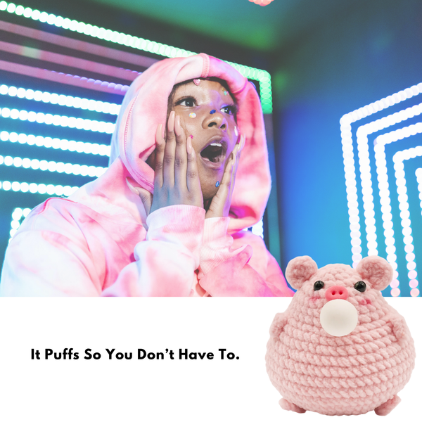 CocoPuffy🐷 Piggy-Crochet Stress Squeezie Fidget Toy